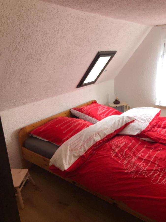 Ferienhaus Zentral & Gruen Leipzig Eksteriør bilde